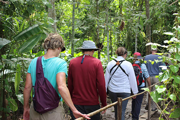 Agua Marina - Pacaya Samiria