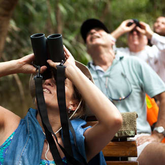 People bird watching