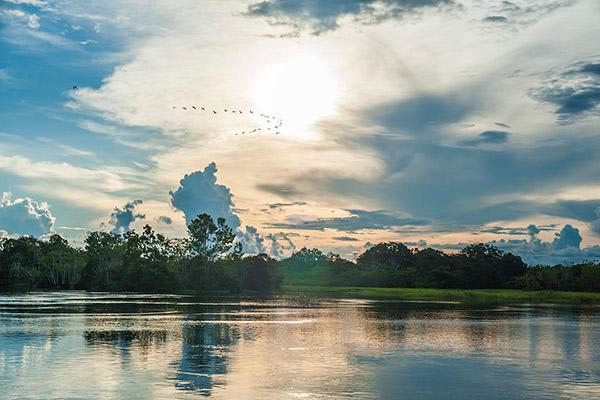 Aria Amazon’s 8-Day Itinerary Day Three - Amazon River Views.
