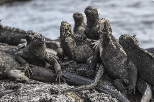 Angel Yacht - 7-day Cruise 