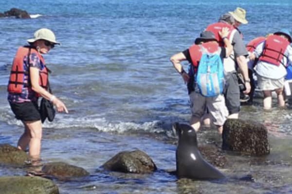 Angel Yacht - 7-day Cruise 