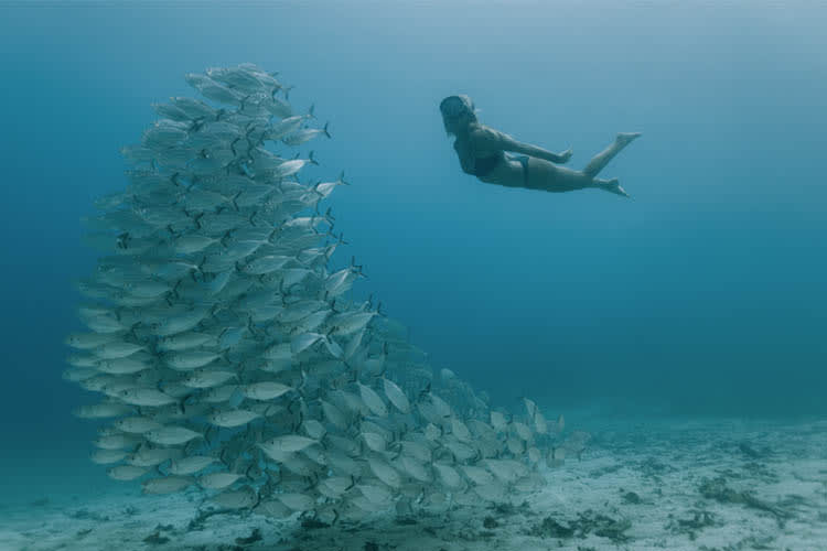 Anne Bonny - Raja Ampat North (Wayag) - Day 2