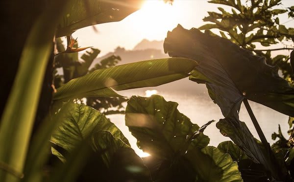 Anouvong's 8-Day Laotian Serendipity Day Six - Sunset