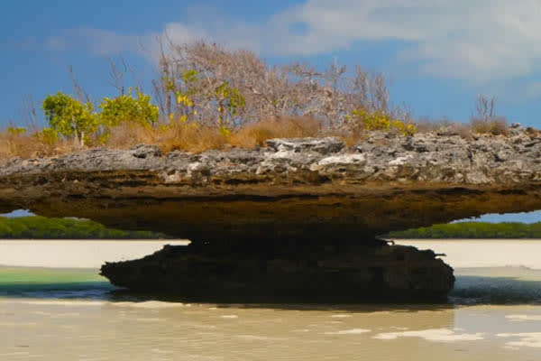 Aqua Lares - The Coralline Seychelles & Zanzibar, Tanzania: Mahe - Zanzibar - Day 7