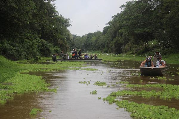 Agua Marina’s 8-Day Bird Watching Itinerary Day Two - Bird Spotting.