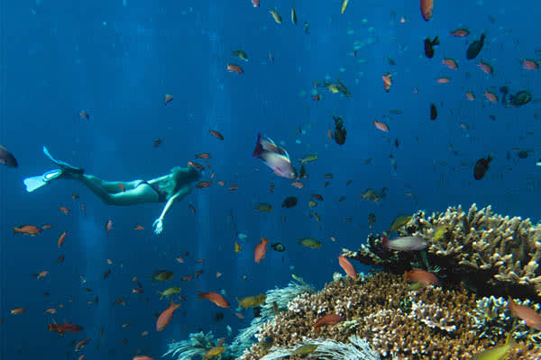 Celestia - Bali - Komodo - Day 5