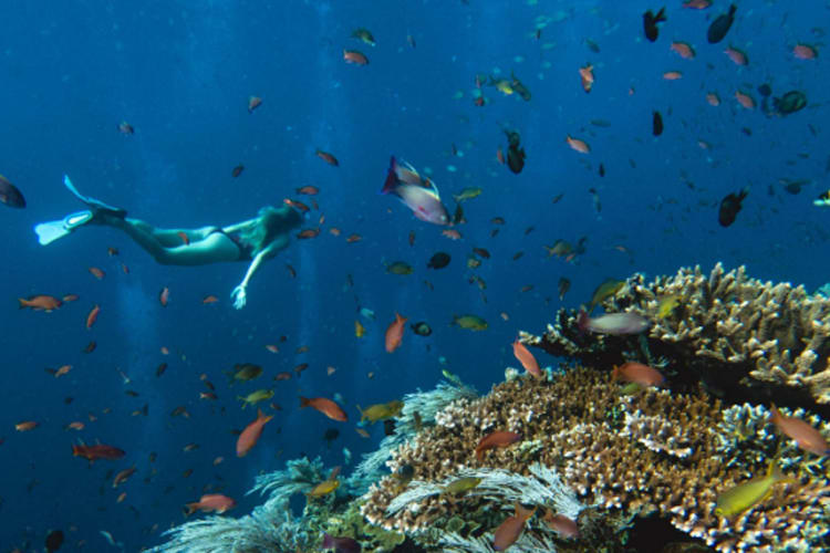 Celestia - Komodo National Park - Day 2