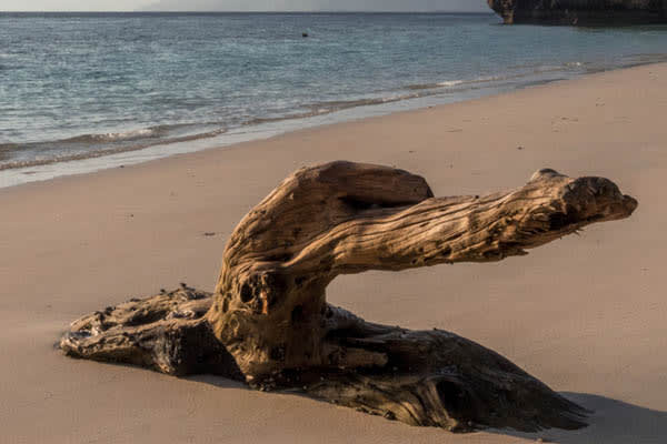 Celestia - Maumere - Ambon - Day 1