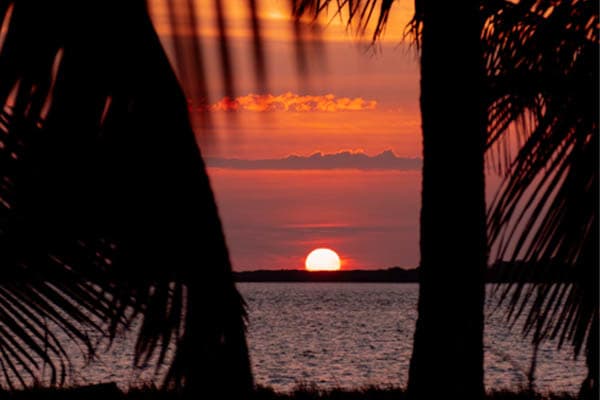 Celestia - Raja Ampat South & Central - Day 8