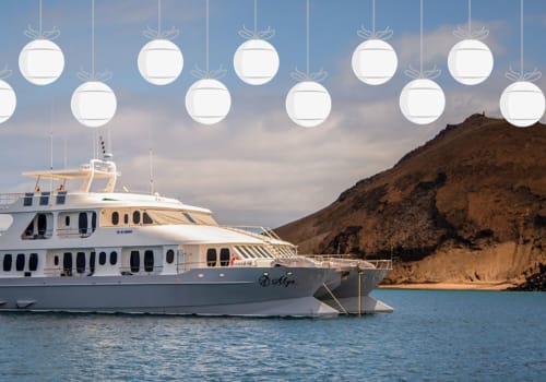 Galapagos Cruise at Christmas