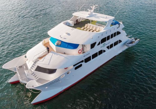 Eco Galaxy seen from above