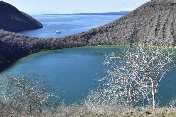 Galaxy Diver - Long Naturalist Cruise