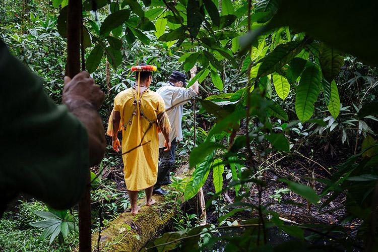 Anakonda Amazon's 8-Day Itinerary Day Two - Guided Jungle Walk.