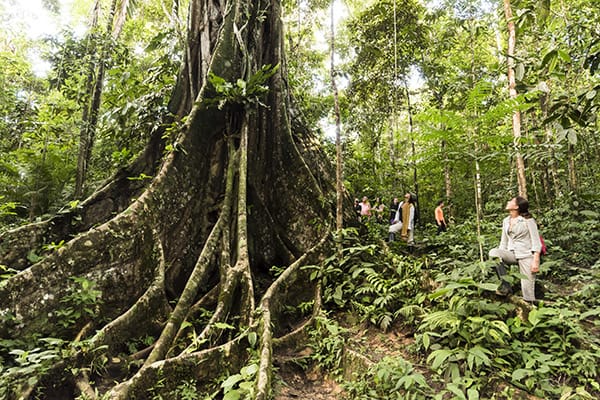 Zafiro’s 5-Day Itinerary Day Two - Jungle Walk.