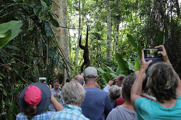 Spondias 8-Day Itinerary Day Seven - Jungle Walk Excursion.