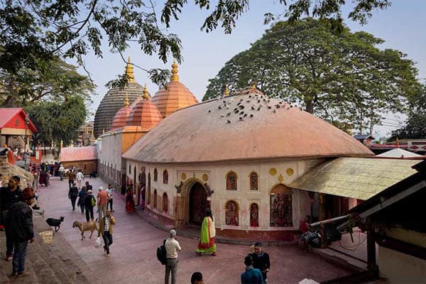 Kindat Pandaw - All Assam On The Brahmaputra - Day 1