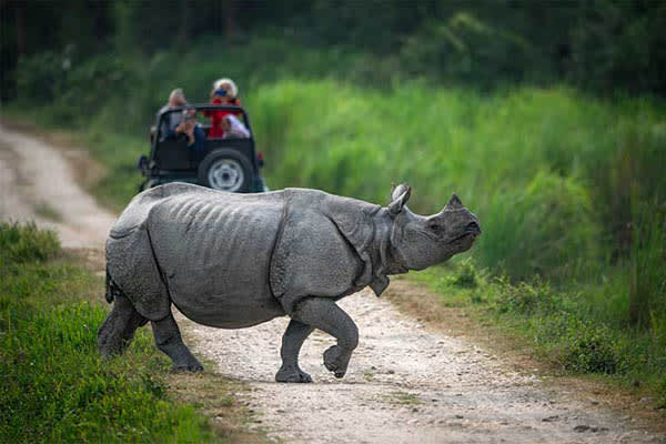 Kindat Pandaw - All Assam On The Brahmaputra - Day 4