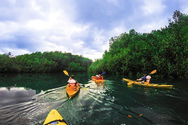 Kontiki - Island Odyssey R2