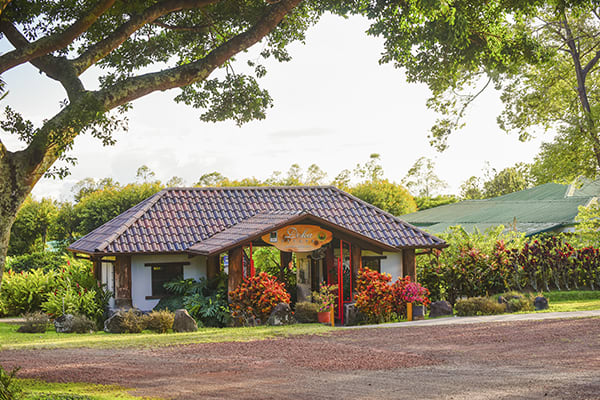 Kontiki - Pura Vida Costa Rica