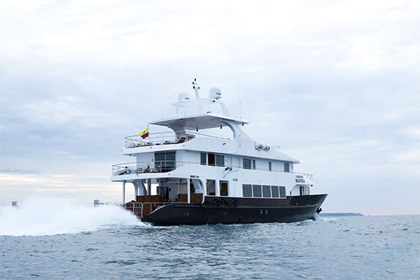 Kontiki - Pura Vida Costa Rica