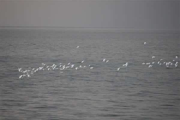 Moksha Pradana - Lake Toba : The Culture Wonders - Day 5