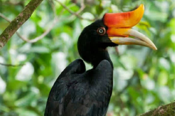 Mutiara Laut - Hidden Lagoons, Endless 3eefs, & Manta Rays: North & Central Raja Ampat