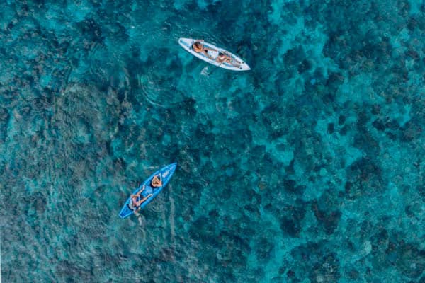 Mutiara Laut - Hidden Lagoons, Endless Reefs, & Manta Rays: North & Central Raja Ampat- Day 6