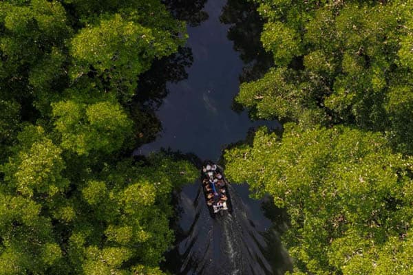 Mutiara Laut - North & South Raja Ampat: Misool, Waigeo, & Wayag - Day 12