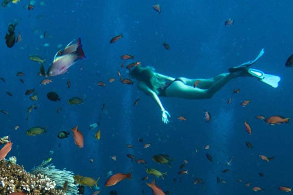 Mutiara Laut - North & South Raja Ampat: Misool, Waigeo, & Wayag - Day 4