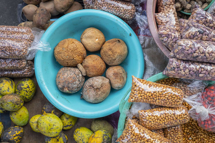 Pure Amazon - 7-Night Itinerary