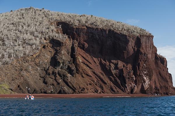 Treasure of the Galapagos 7-Day 'C' Itinerary Day Six - Rabida Island.