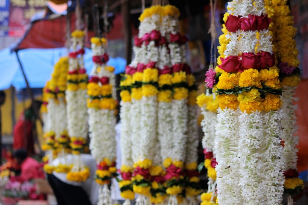 Rajmahal - City of Light : Patna - Varanasi - Day 7