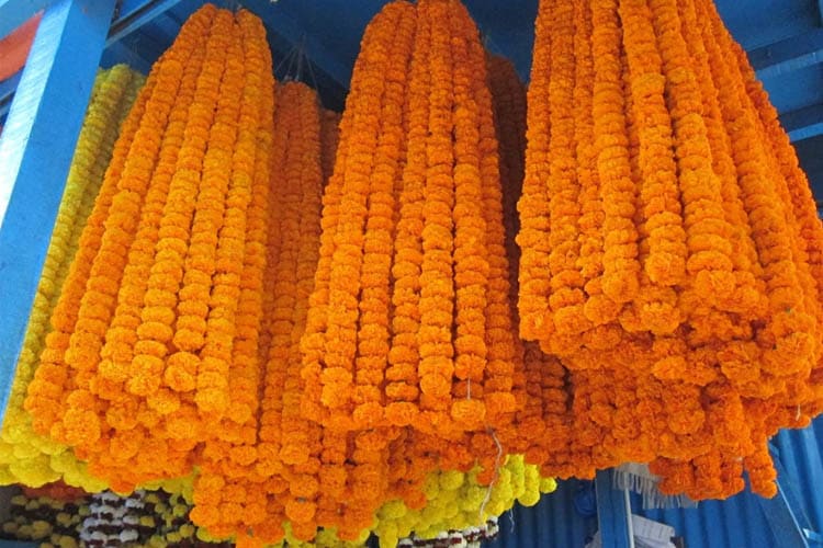 Rajmahal - Holy Ganges : Patna - Farakka - Day 2