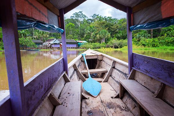 Spondias 8-Day Birdwatching Itinerary Day Eight - Disembarkation.