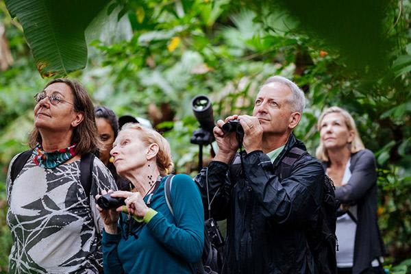 Manatee Amazon's 5-Day Itinerary Day Four - Spotting Wildlife.