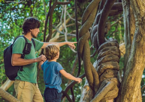 Father,And,Son,Watching,Tropical,Lianas,In,Wet,Tropical,Forests.
